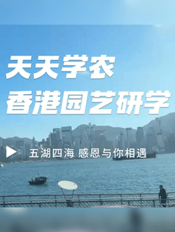 与香港园艺学会联合举办香港园艺研学，专业园境师带队讲解。